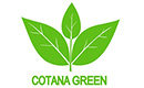 Cotana Green